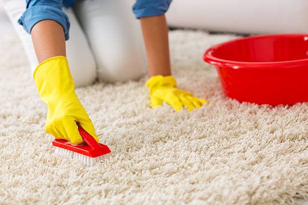 carpet cleaning Fairfax