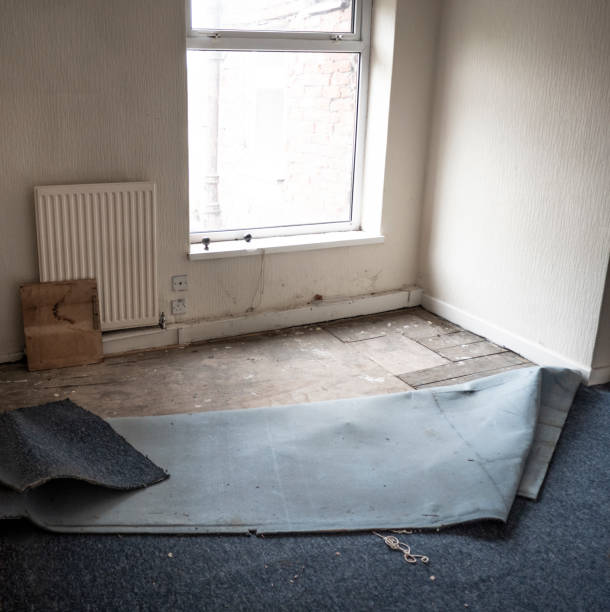 carpet cleaning Ashburn