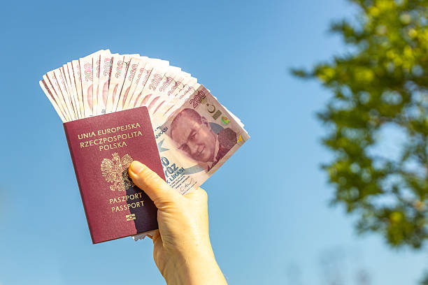 Turkey Tourist Visa Assistance
