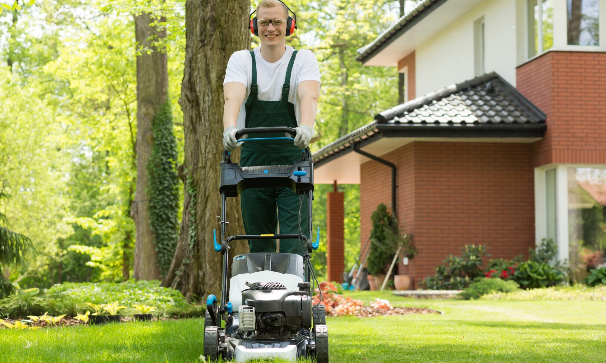 Property Maintenance