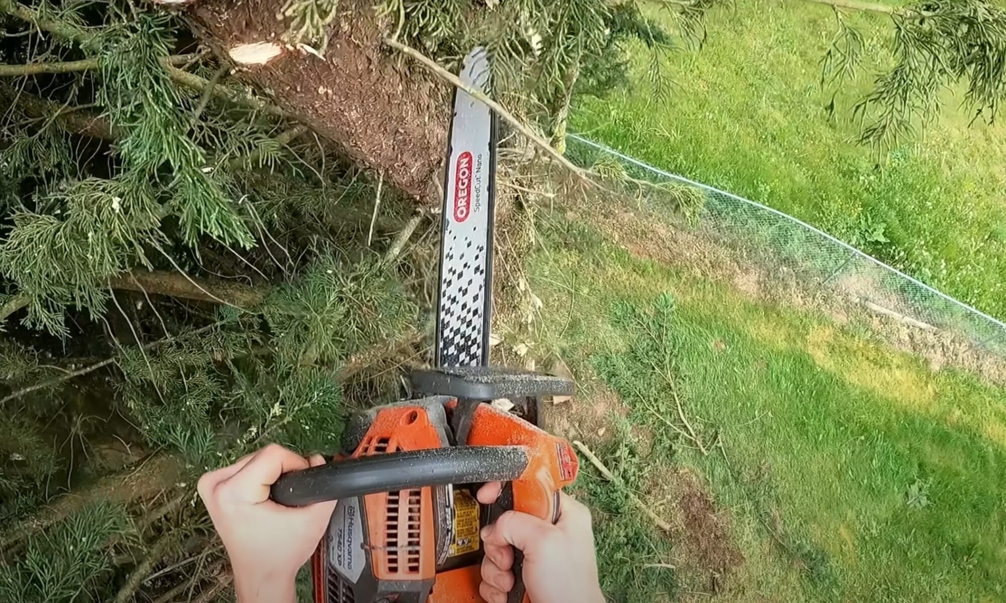 Tree Trimming Improves