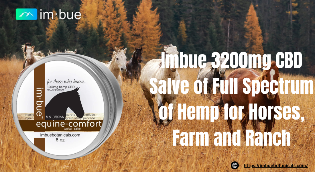 CBD Salve for Horses