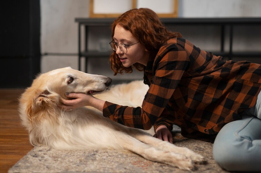What Is Fenbendazole Used for in Dogs