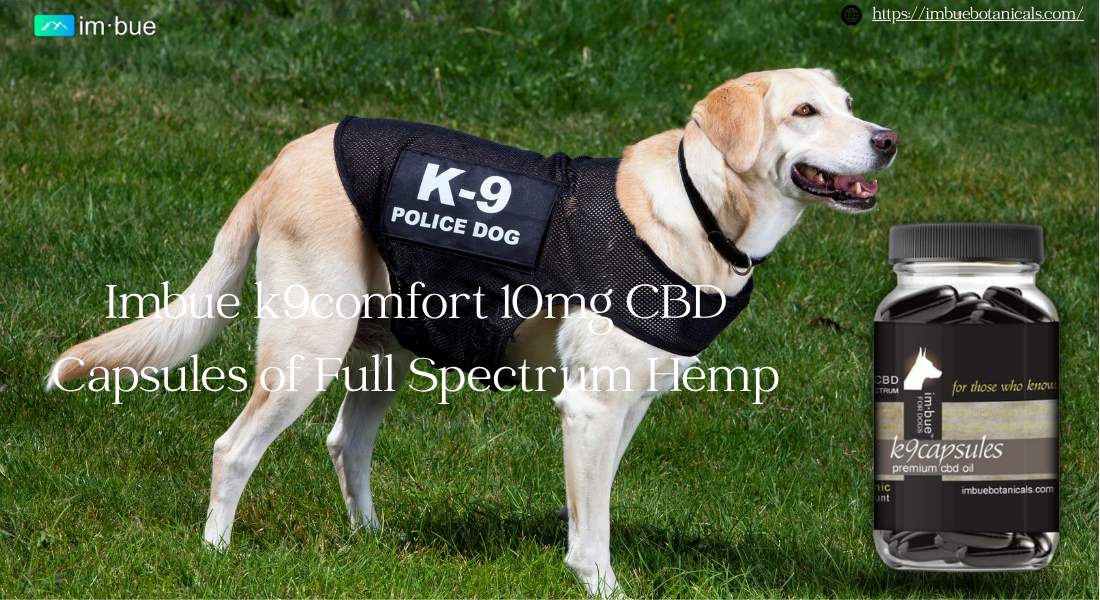 CBD Supplements for Dogs